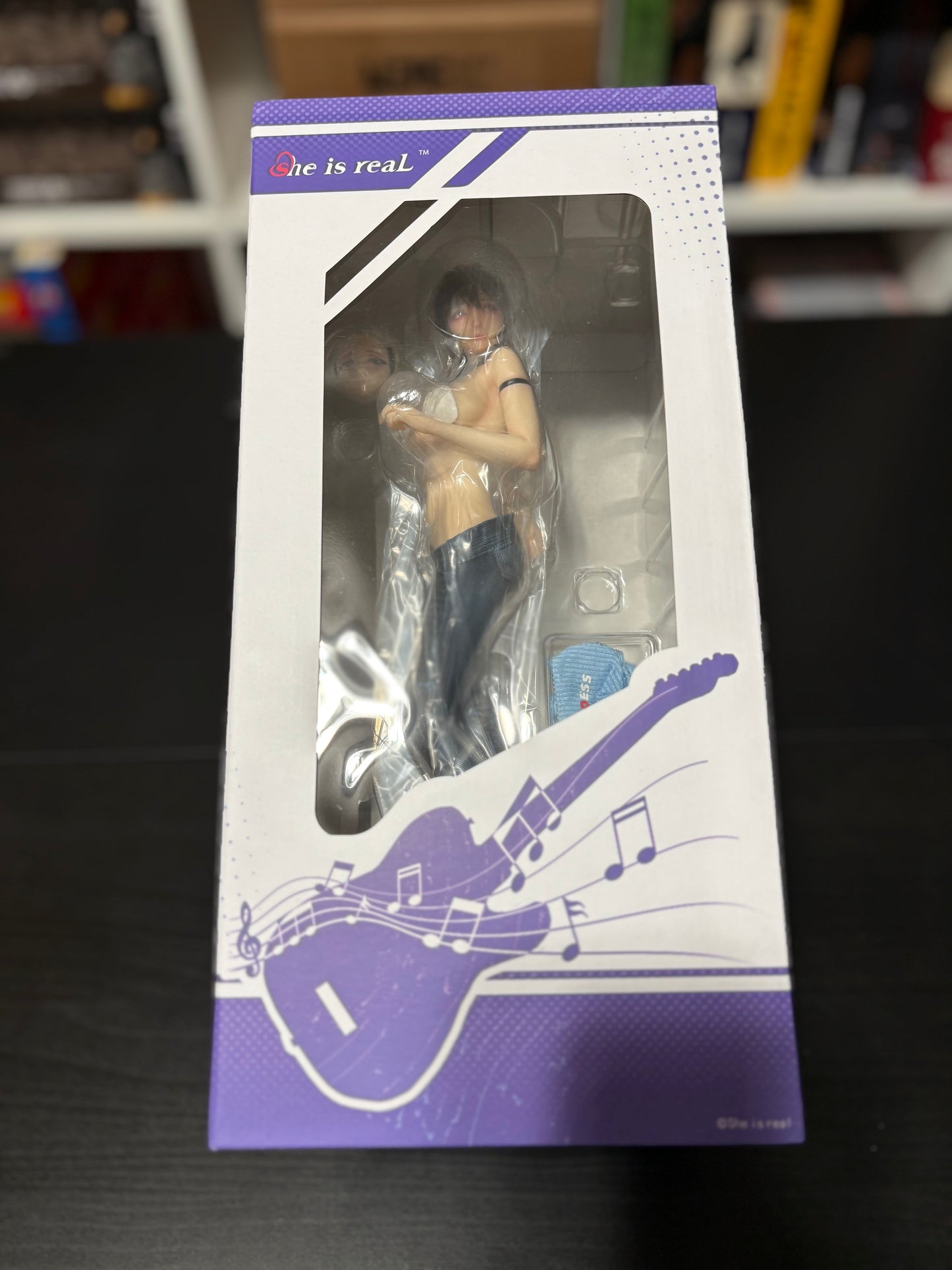 She Is Real Guitar Sister 1/6 Scale by BearPanda