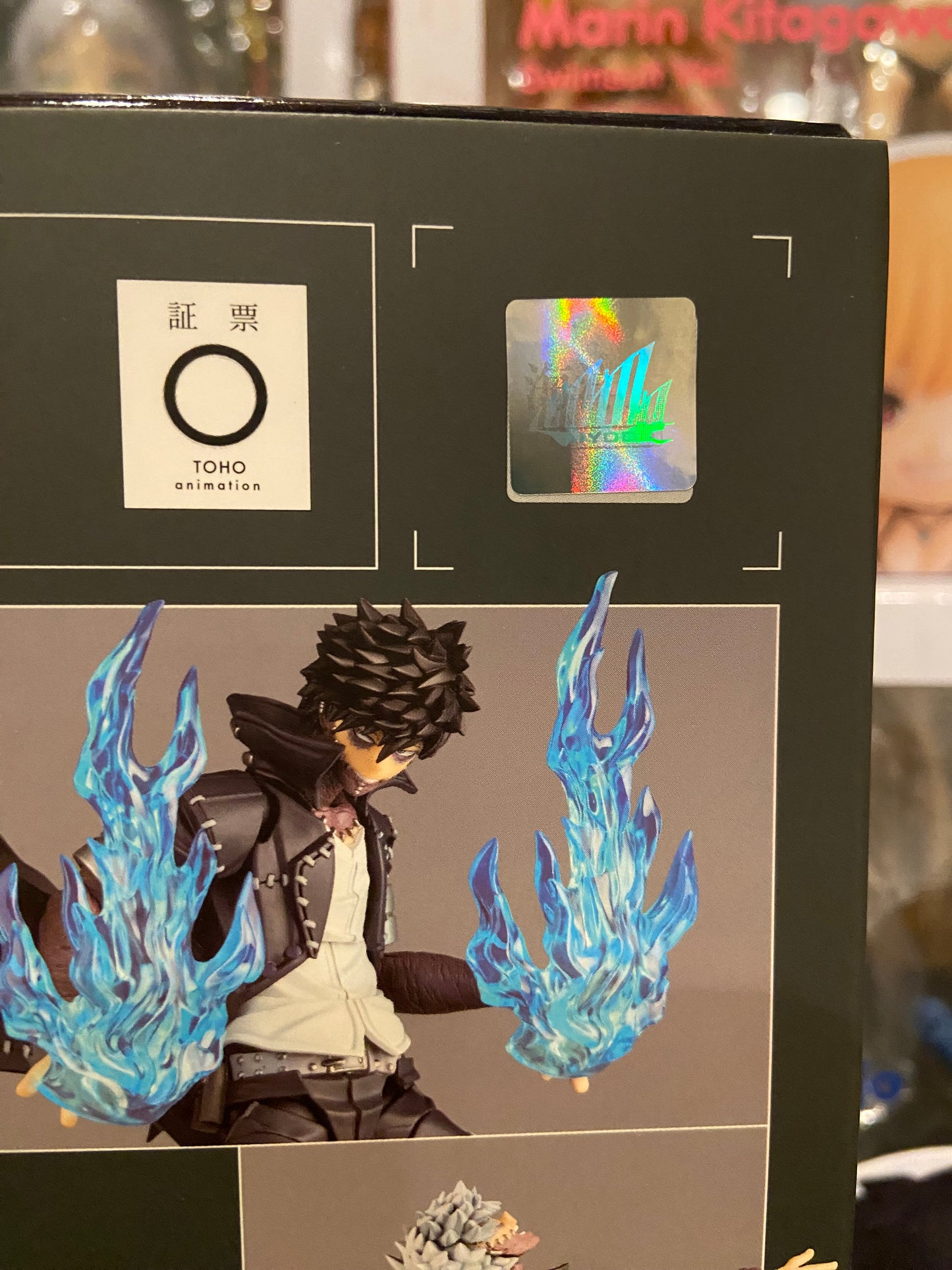 Revoltech Amazing Yamaguchi Dabi by Kaiyodo