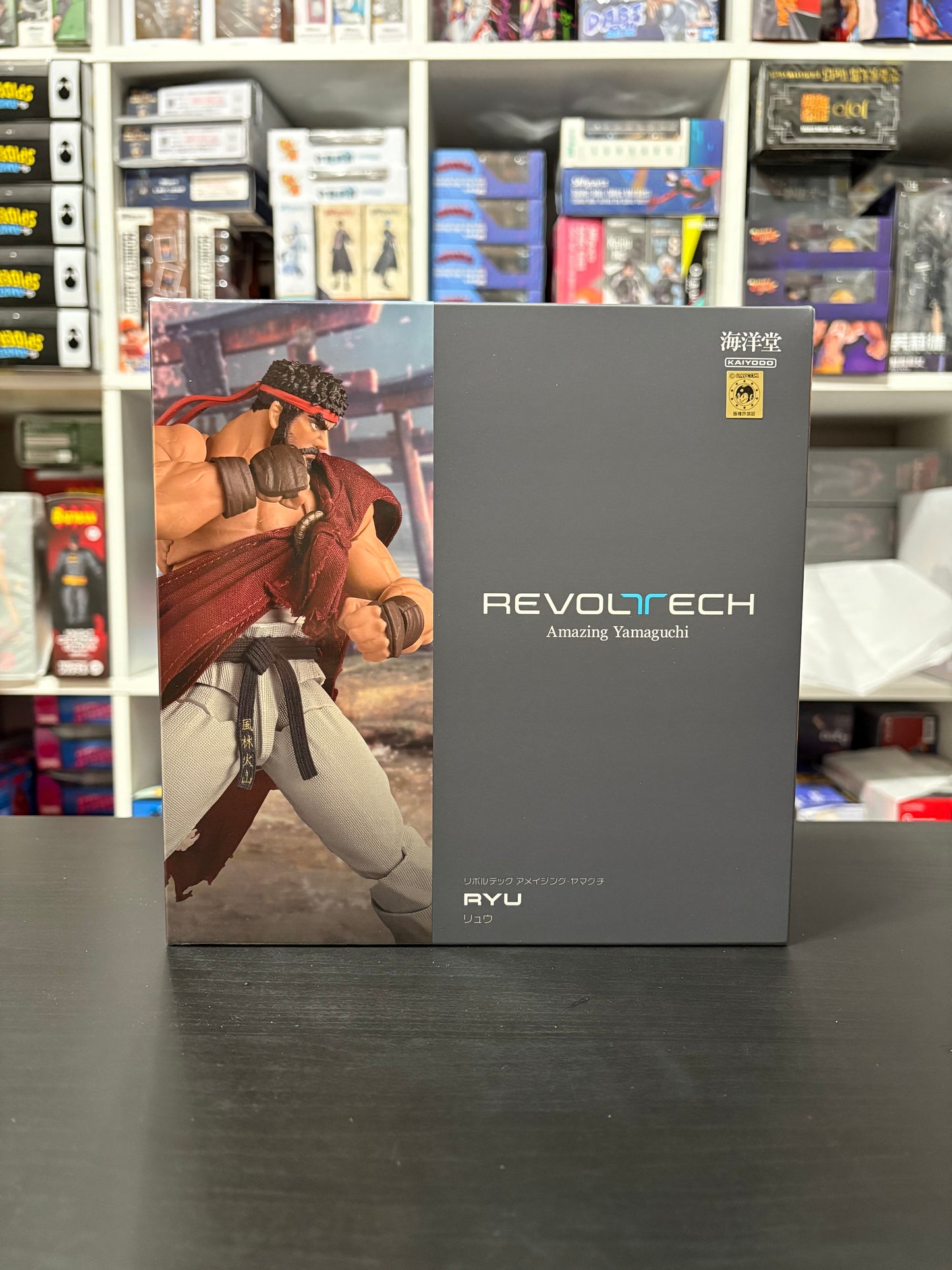 Amazing Yamaguchi Revoltech Ryu Street Fighter 6 w/ *Bonus Face Plate Action Figure BY KAIYODO