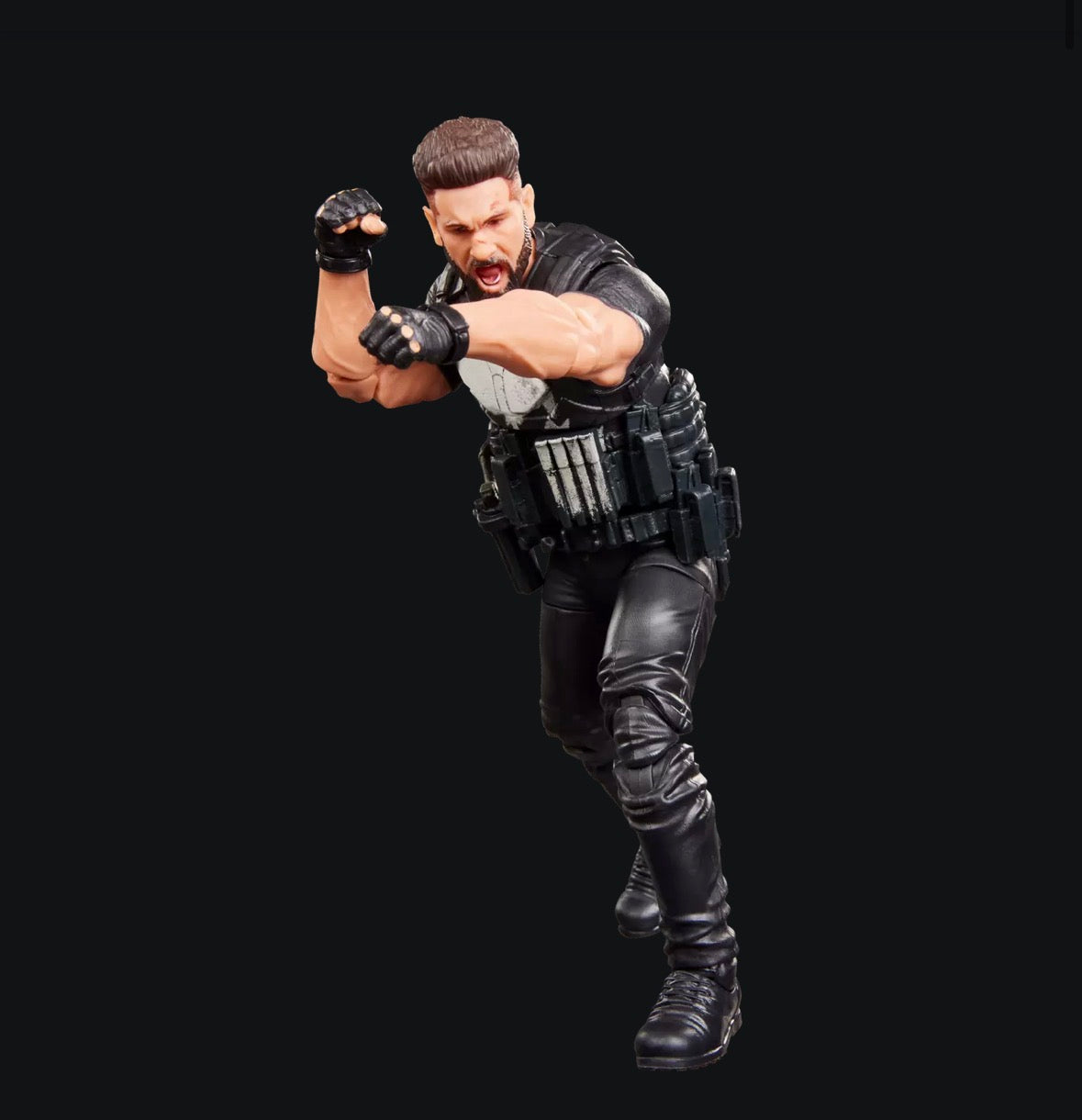 Marvel Legends The Punisher Action Figure by Hasbro