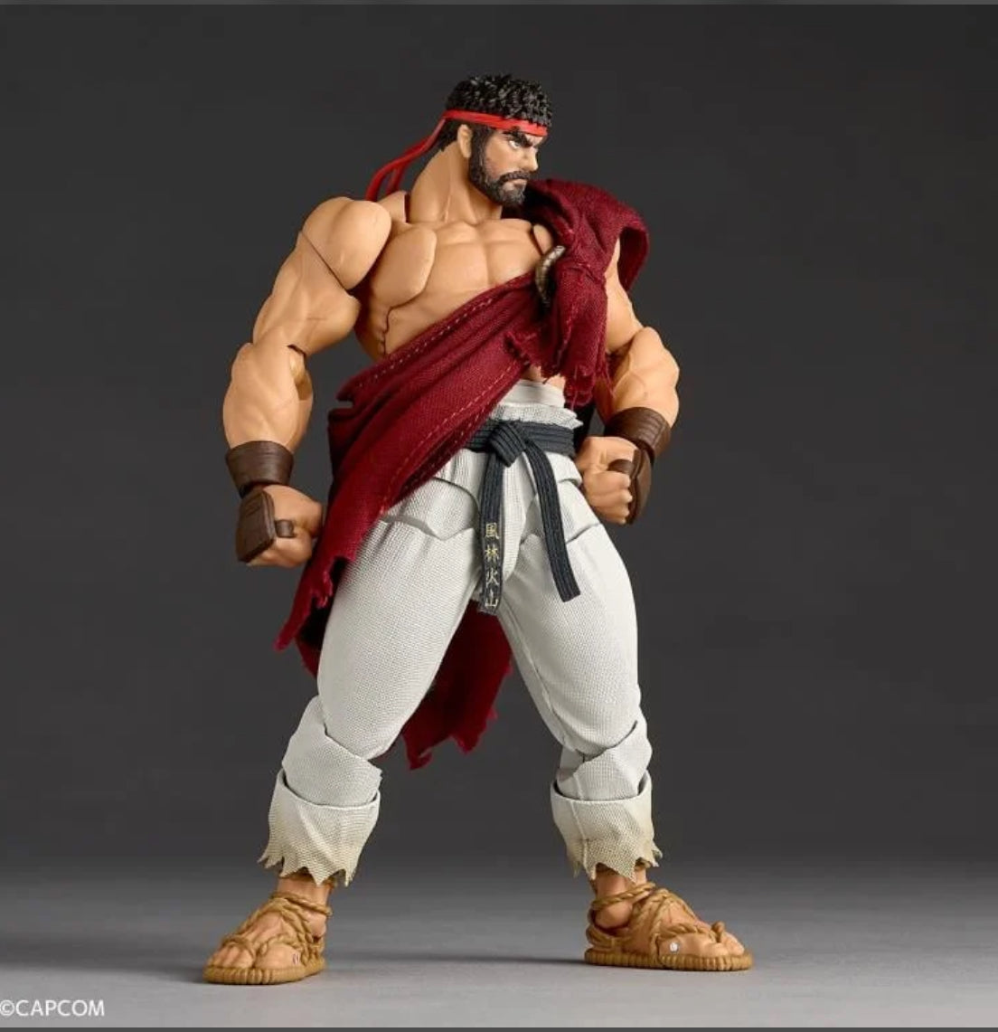 Amazing Yamaguchi Revoltech Ryu Street Fighter 6 w/ *Bonus Face Plate Action Figure BY KAIYODO